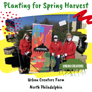 Urban Creators - Planting for Spring Harvest